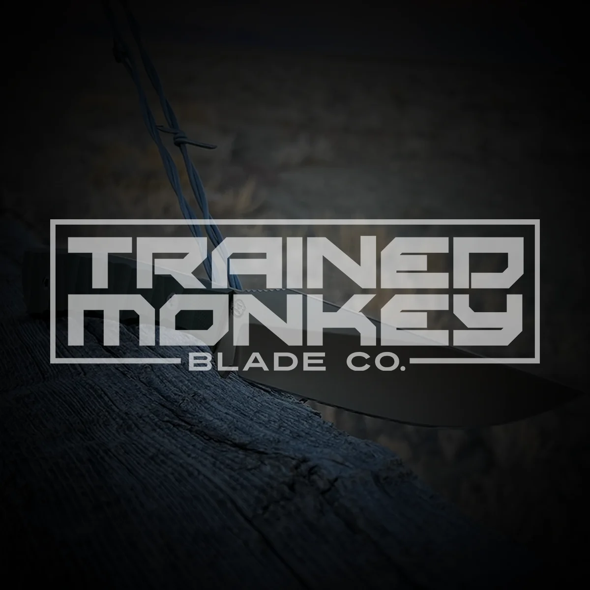 Trained Monkey Blade Portfolio