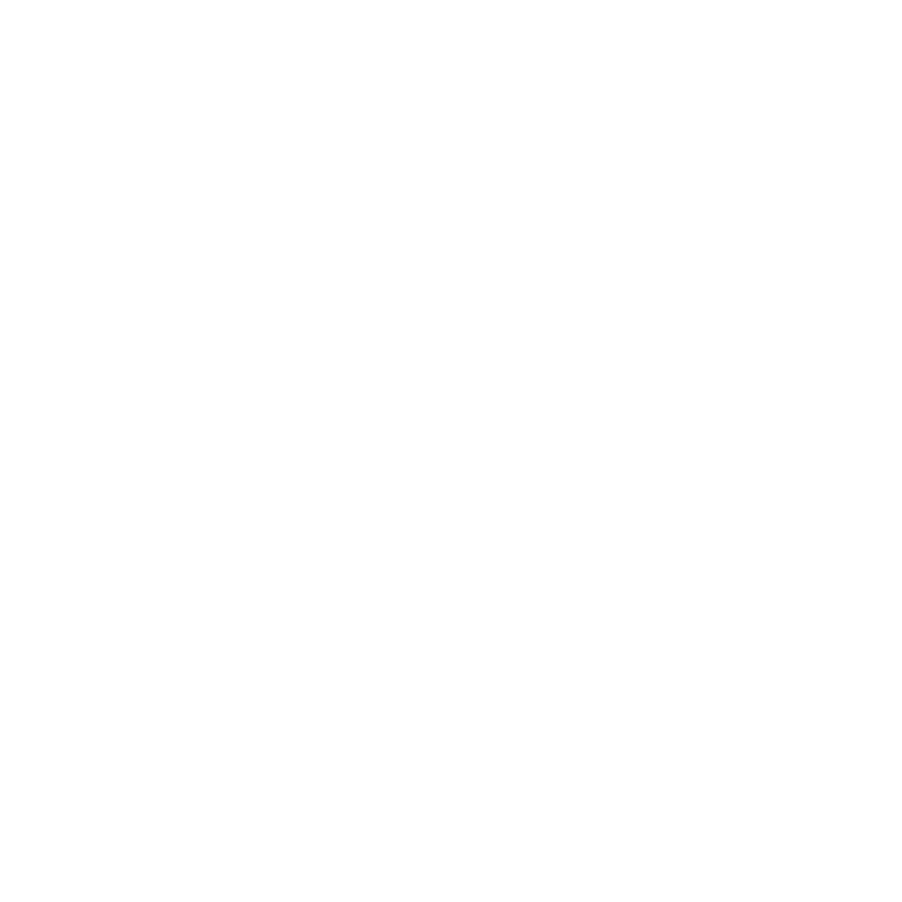 Web Hosting Icon